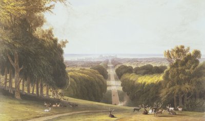 La lunga passeggiata, Windsor Park, da una raccolta di vedute di Windsor, Eton e Virginia Water, c.1827-30 da William Daniell